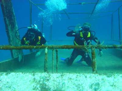 red sea_029.jpg